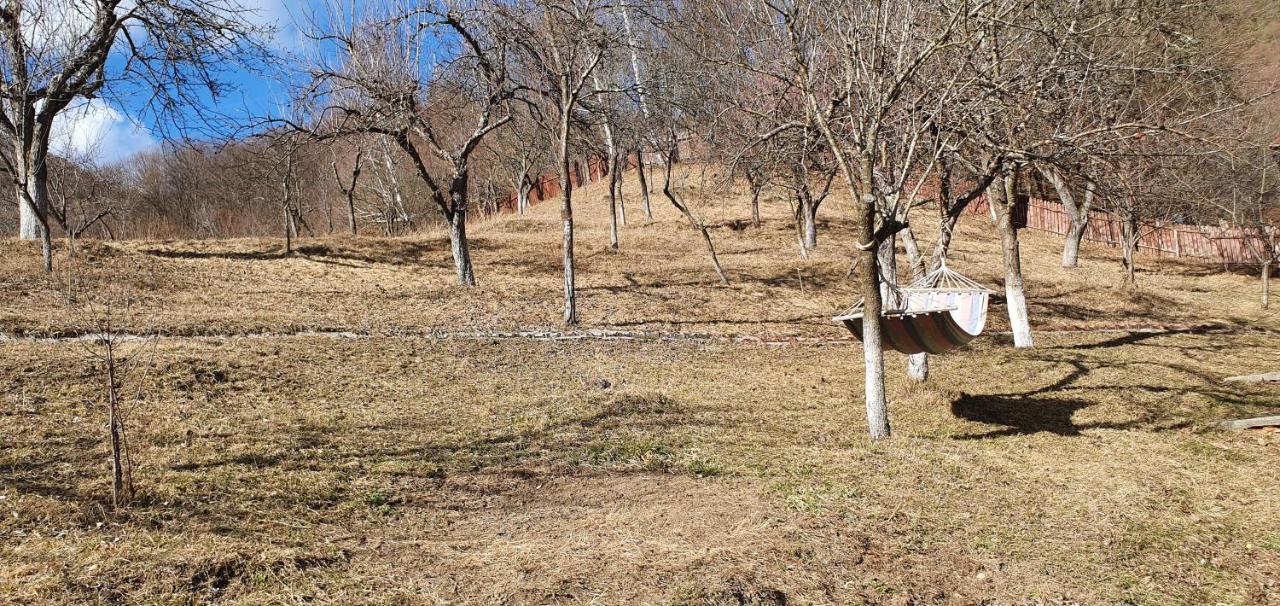 ブレゾイ Casa Colt De Raiヴィラ エクステリア 写真