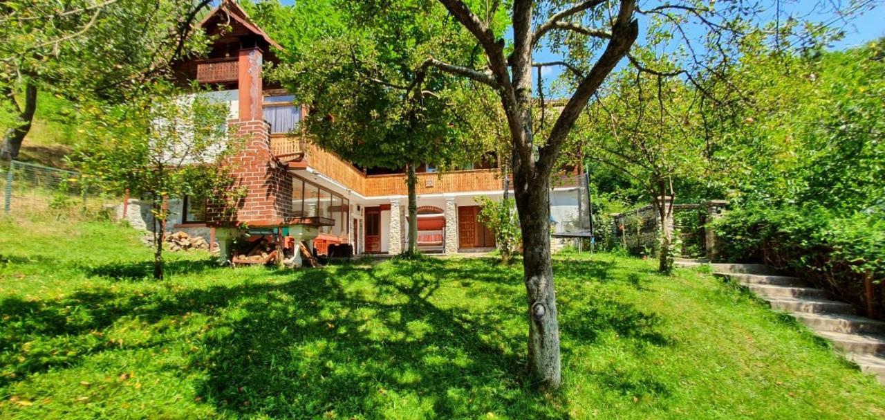 ブレゾイ Casa Colt De Raiヴィラ エクステリア 写真